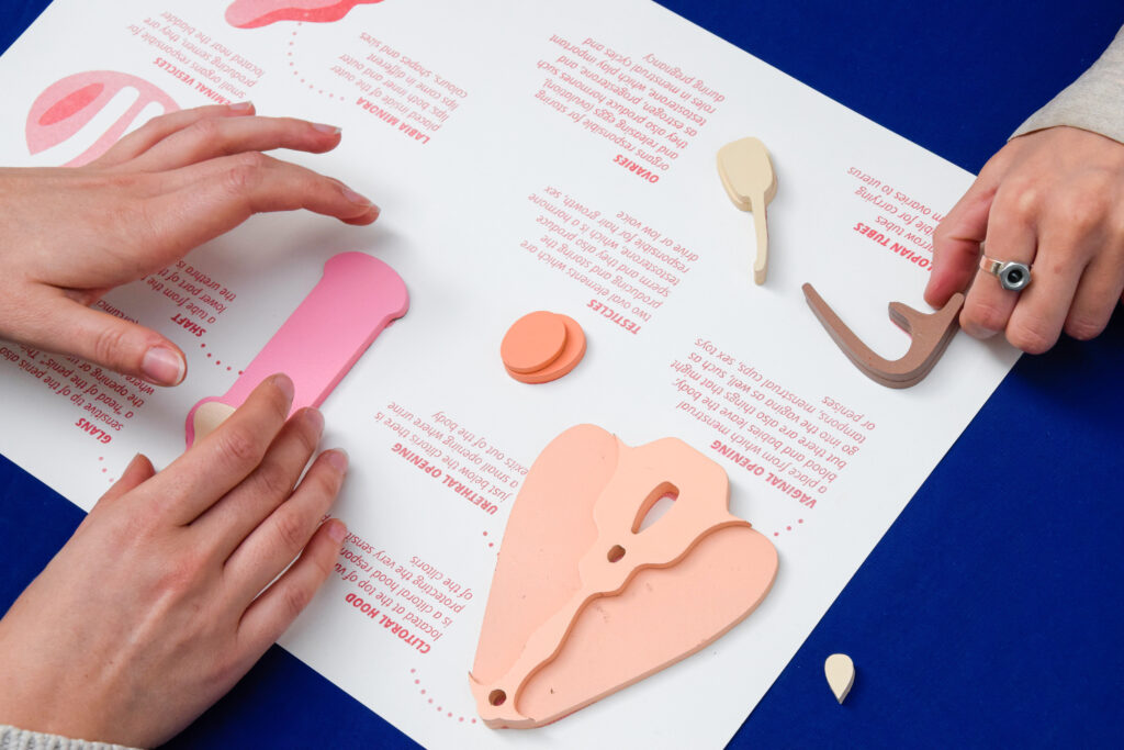The Toys Aiming to Revolutionize Sex Education in Poland