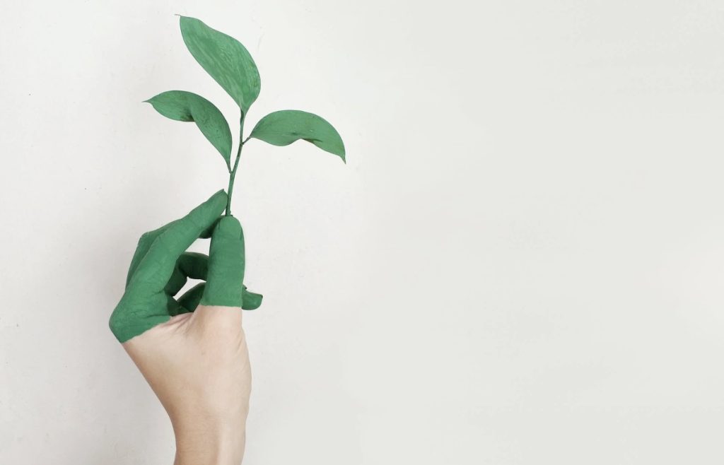 Tips for a More Sustainable Lifestyle: Green fingers holding a green leaf